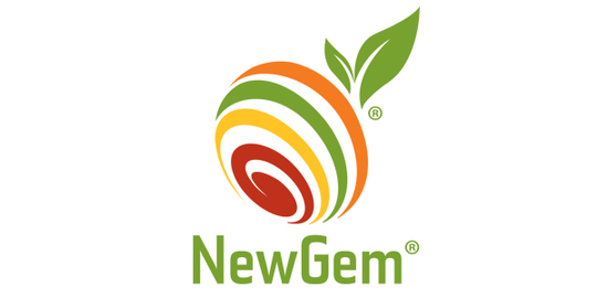 NewGem Logo